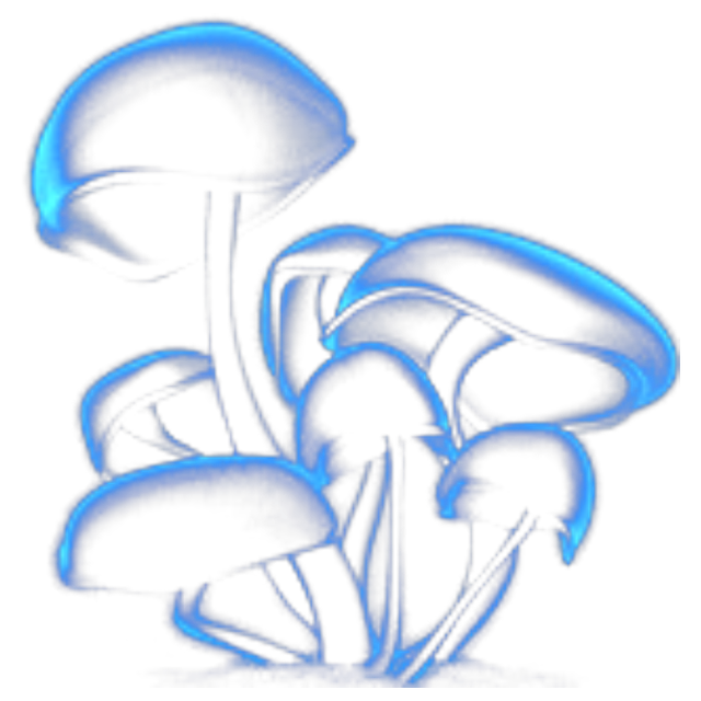 Blue Mushroom logo